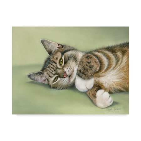 Janet Pidoux 'Green Eyes' Canvas Art,18x24